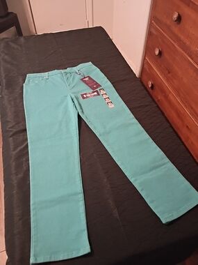 Gloria Vanderbilt Teal Stretch Pants